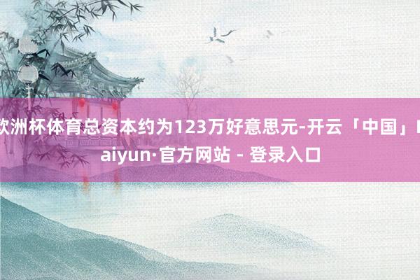 欧洲杯体育总资本约为123万好意思元-开云「中国」Kaiyun·官方网站 - 登录入口